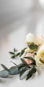 Bestattungen Orlob – Trauerbegleiter & Bestatter