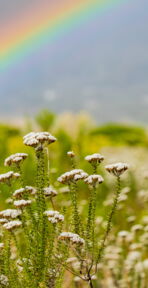 Bestattungen Orlob – Trauerbegleiter & Bestatter