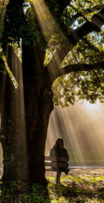 Bestattungen Orlob – Trauerbegleiter & Bestatter