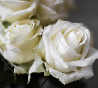 Bestattungen Orlob – Trauerbegleiter & Bestatter