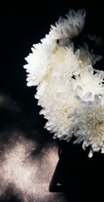 Bestattungen Orlob – Trauerbegleiter & Bestatter