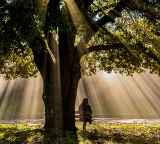 Bestattungen Orlob – Trauerbegleiter & Bestatter