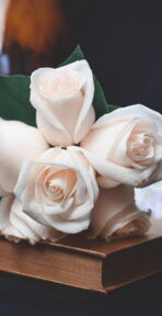 Bestattungen Orlob – Trauerbegleiter & Bestatter